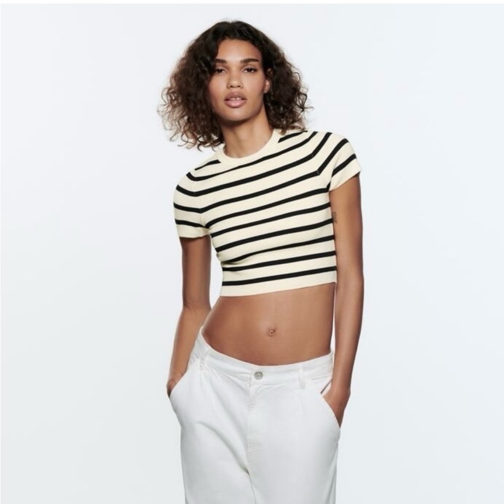 Zara Cropped Knit Striped Top